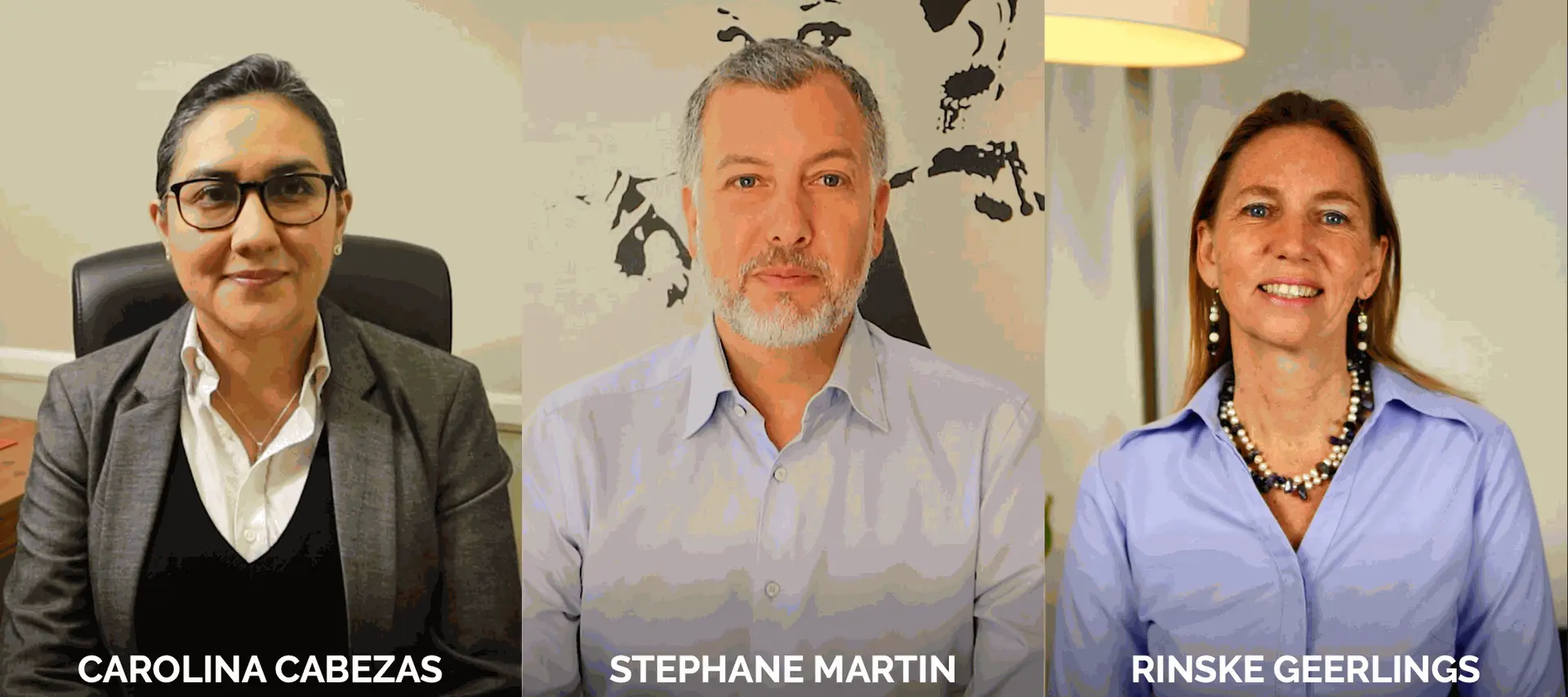 Trainers teaching the course